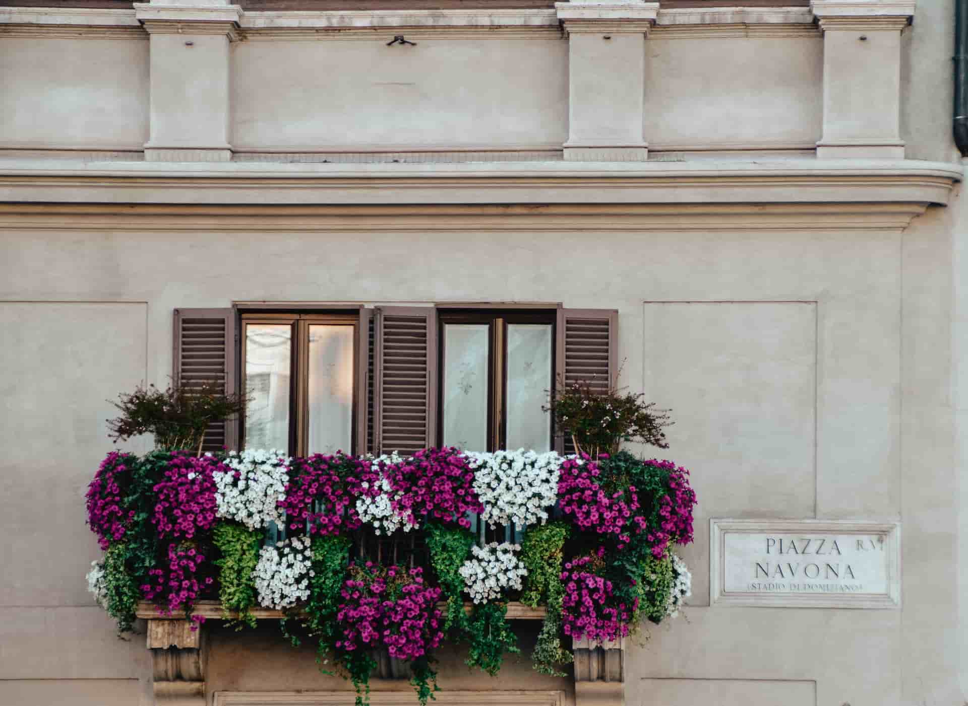facciata casa roma piazza navona